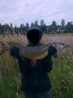 Hauki 6,00 kg