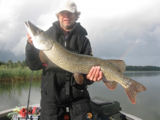 Hauki 6,95 kg