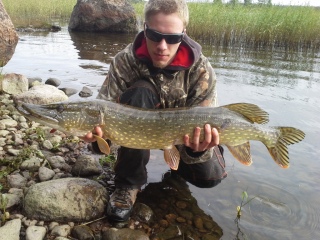 Hauki 6,22 kg