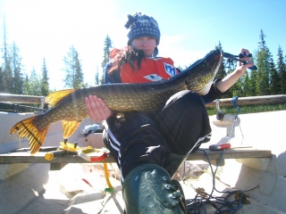 Hauki 7,00 kg