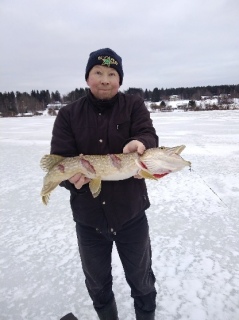 Hauki 1,40 kg