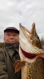 Hauki 8,22 kg