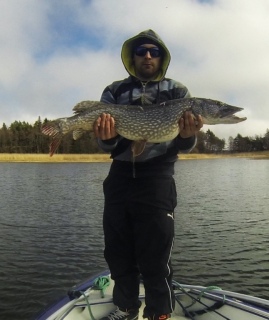 Hauki 6,26 kg