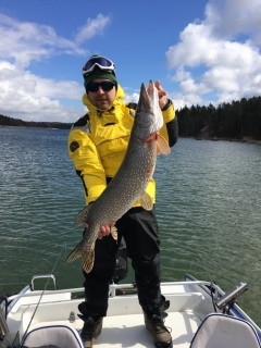 Hauki 8,04 kg