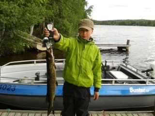 Hauki 1,14 kg