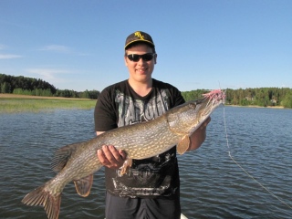 Hauki 6,50 kg
