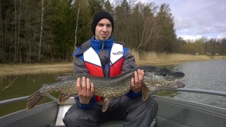 Hauki 6,02 kg