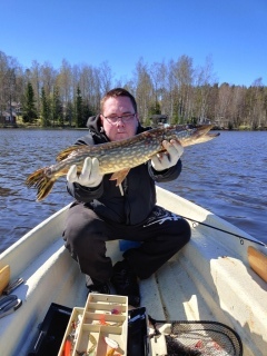 Hauki 1,08 kg