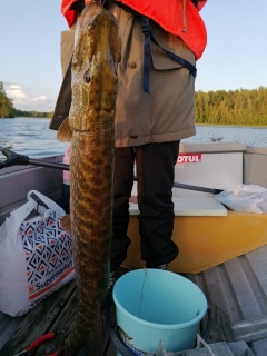 Hauki 9,70 kg