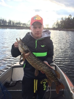 Hauki 3,26 kg