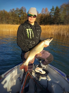 Hauki 5,44 kg