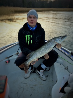 Hauki 5,60 kg