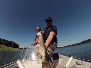Hauki 4,28 kg