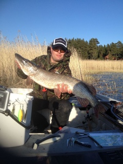 Hauki 8,20 kg