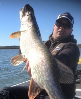 Hauki 7,25 kg