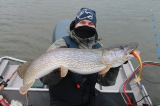 Hauki 8,68 kg