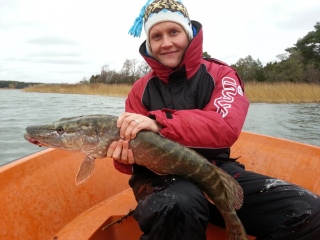 Hauki 3,84 kg