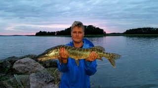 Hauki 3,75 kg