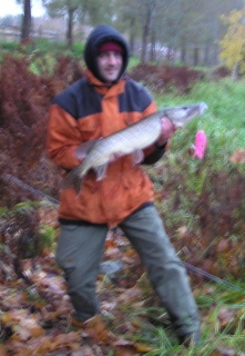 Hauki 3,46 kg