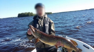 Hauki 6,00 kg