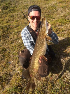 Hauki 5,30 kg