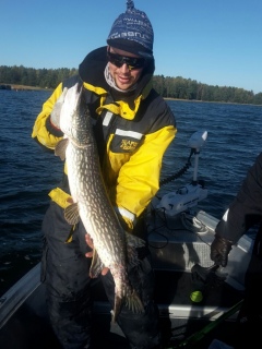 Hauki 4,78 kg