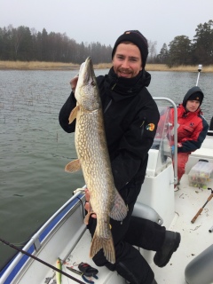 Hauki 5,50 kg