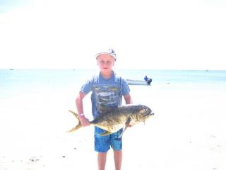 Amberjack 10,20 kg