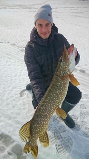 Hauki 9,00 kg