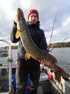 Hauki 5,60 kg