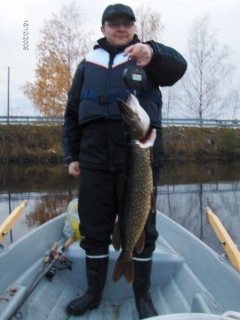 Hauki 3,30 kg