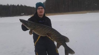 Hauki 8,50 kg