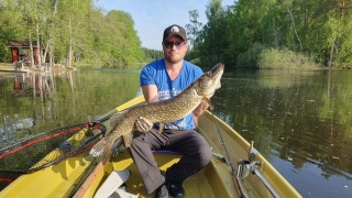 Hauki 5,50 kg
