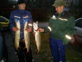Hauki 3,90 kg