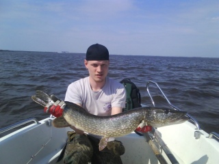 Hauki 5,31 kg