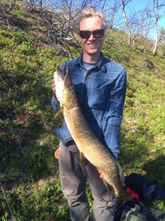 Hauki 5,88 kg