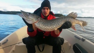 Hauki 6,88 kg