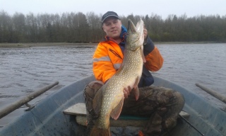 Hauki 10,46 kg