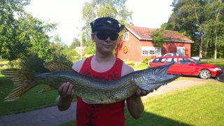 Hauki 4,80 kg