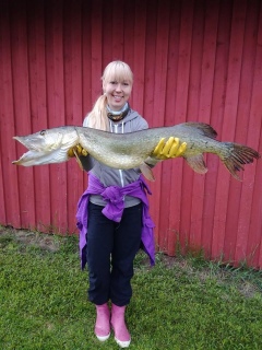 Hauki 7,44 kg