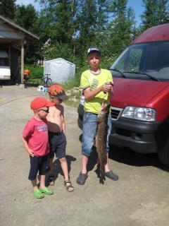 Hauki 6,25 kg