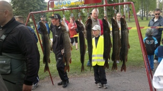 Hauki 3,15 kg