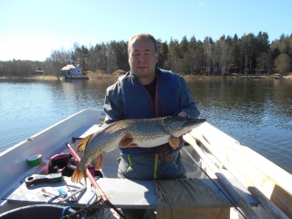 Hauki 5,50 kg