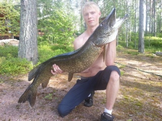 Hauki 13,50 kg
