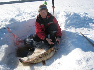 Hauki 8,50 kg