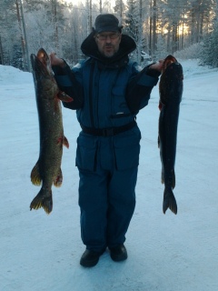 Hauki 7,25 kg