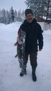 Hauki 8,65 kg