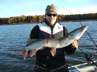 Hauki 3,60 kg
