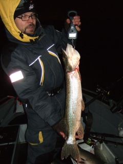 Hauki 3,78 kg