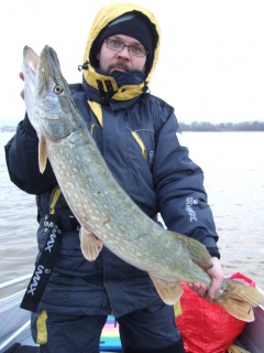 Hauki 5,74 kg